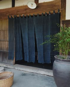 an open door with blue curtains in front of it and a potted plant next to it