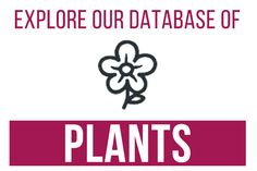 the words explore our data base of plants on a white background with pink and red border