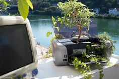 there is a small tree growing out of an old computer monitor next to the water