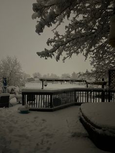 the snow is covering the ground and trees in front of a bench with a bowl on it