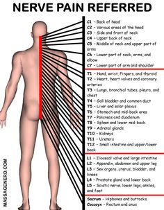 Punkty Spustowe, Sistem Saraf, Marriage Box, Spine Health, Home Massage, Human Anatomy And Physiology, Medical Anatomy