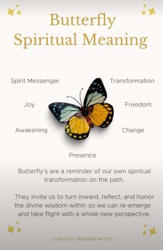 Butterfly Spiritual Meaning, Butterfly Spiritual, Butterfly Spirit Animal, Animal Totem Spirit Guides, Butterfly Meaning, Spirit Animal Meaning, Animal Meanings, Animal Spirit Guides