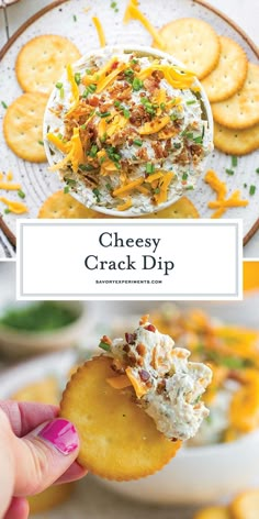 Salmon Dip Recipes, Smoked Salmon Dip, Homemade Tortilla Chips, Salsa Recipes, Quick And Easy Appetizers, Dip Recipes Easy, Cheesy Bacon, Amazing Appetizers