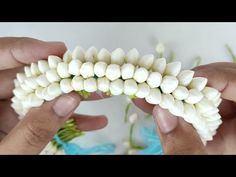 two hands are holding small white flowers