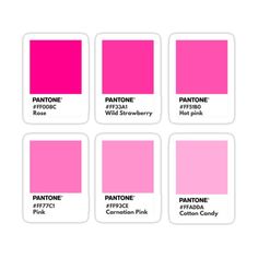 the pantone pink color is shown in four different shades, each with their own name