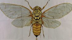 a drawing of a yellow and white insect