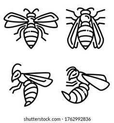 four honeybees in different stages of development, black and white line art on a white background