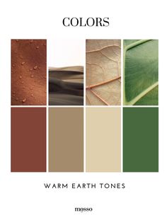 the color palette for warm earth tones