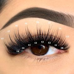 Whispy Lashes Extensions Map Volume, Whispy Lashes Extensions Volume, Volume Wispy Eyelash Extensions Mapping, Long Wispy Eyelash Extensions, Whispy Lashes Extensions Map, Lash Installation, Volume Wispy Eyelash Extensions, Wispy Volume Lash Extensions