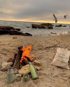 a campfire on the beach with two mugs next to it and seagulls flying in the background