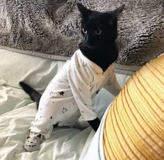 a black cat sitting on top of a bed next to a white pillow and blanket