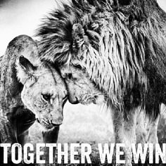 two lions facing each other with the words together we win