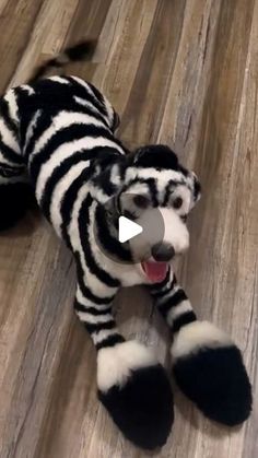 a stuffed zebra laying on top of a wooden floor