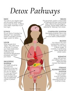 Detox Pathways, Functional Health, Sugar Diet, Inner Health, Health Research, Health Habits, Health Knowledge, Natural Health Remedies