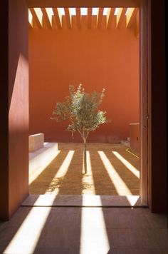 an open door with a tree in the middle and sunlight coming through it on top