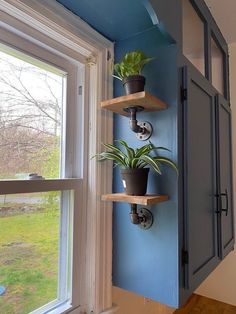 two potted plants are sitting on shelves in front of a window with a blue painted wall