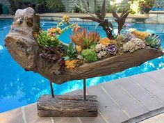 a wooden table with succulents and plants on it next to a pool