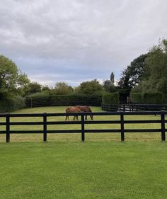 two horses grazing on grass behind a black fence in the middle of an open field