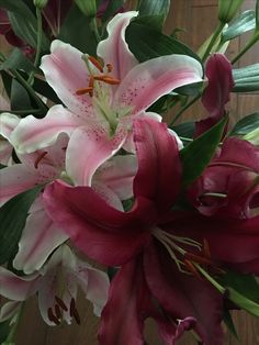 a vase filled with pink and white flowers