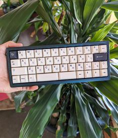 a person holding a keyboard in front of a potted plant