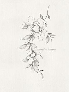 a pencil drawing of flowers and leaves