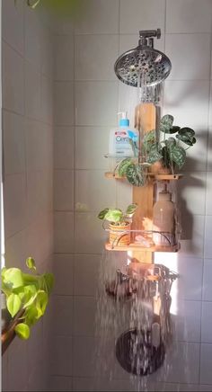 a shower head with plants in it and water coming out of the faucet