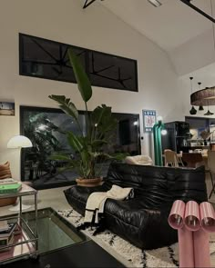 a living room filled with furniture and a large plant