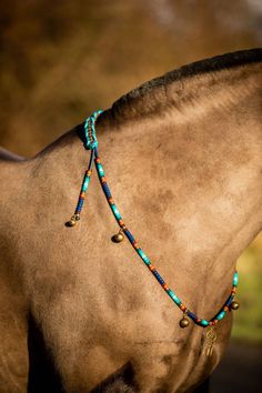 a brown horse wearing a turquoise beaded halter