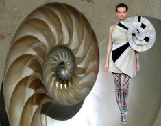 a model walks down the runway in front of an enormous shell