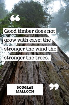 a tall tree with a quote on it