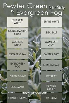 the different types of evergreen fogs are shown in this graphic above it's description