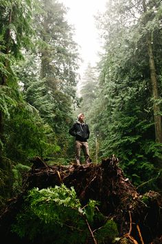 a man standing on top of a fallen tree in the forest