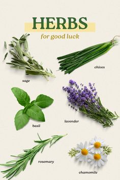 herbs for good luck are shown here