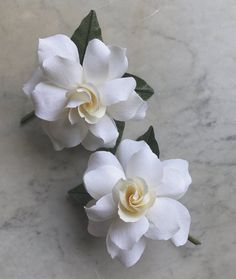 two white flowers with green leaves on a marble surface