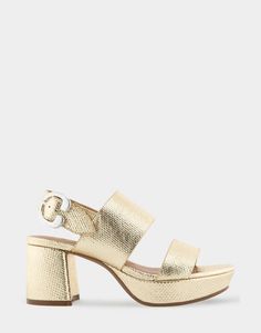 Camera Soft Gold Canvas Faux Leather Platform Block Heel Sandal with Buckle – Aerosoles Stay C, Spring Wedges, Wide Width Heels, Wide Width Boots, Wide Width Sandals, Women Platform Sandals, Gold Canvas, Comfort Shoe, Sandal Platform