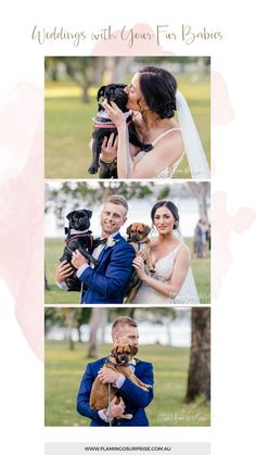 the wedding couple and their dog are posing for pictures