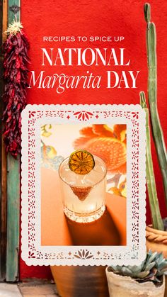 Curamia Tequila Margarita Recipes 1800 Coconut Tequila Margarita, Reposado Tequila Cocktails, Paloma Cocktail Tequila Grapefruit Soda, Tequila Reposado Cocktails, National Margarita Day, Tequila Sunrise Recipe Corona, Margarita Recipes