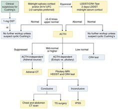 a flow diagram with different types of medicationss and their corresponding conditions for the treatment