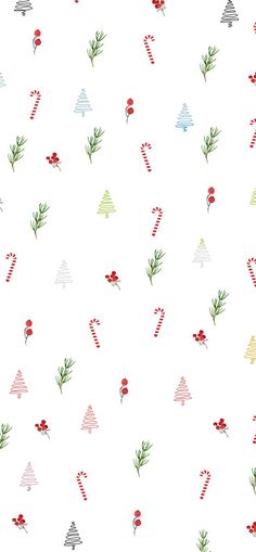 a white background with christmas trees and candy canes