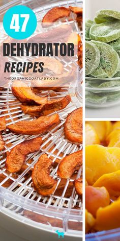 four different pictures with the words 47 dehydrator recipes on them and oranges