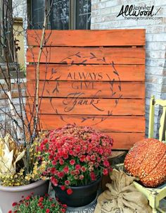 several potted plants sitting next to a wooden sign