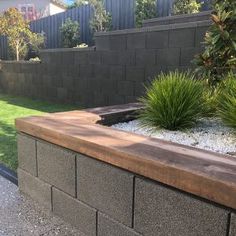 an outdoor garden with grass and plants in the back yard, next to a brick wall