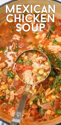 mexican chicken soup in a pot with a ladle full of the soup and spoon