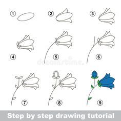 step by step drawing instructions for how to draw a blue flower with flowers in it