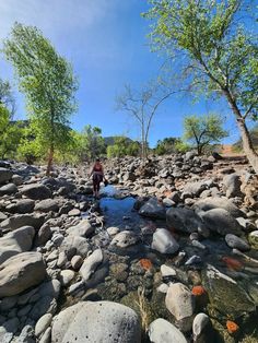 a man walking across a rocky river surrounded by trees and rocks on a sunny day