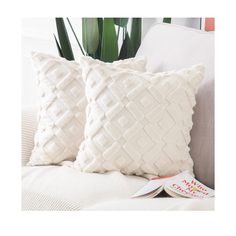 two white pillows sitting on top of a couch next to a potted green plant