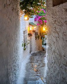 an alley way with flowers growing on it