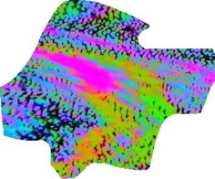 an image of the shape of a map with different colors and shapes on it, including lines