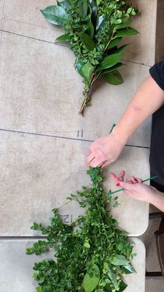 someone is cutting up some plants on the floor