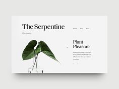 the serpentine website homepage is displayed on a white background with green leaves in a vase